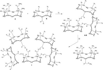 Heteroglycoclusters With Dual Nanomolar Affinities for the Lectins LecA and LecB From Pseudomonas aeruginosa